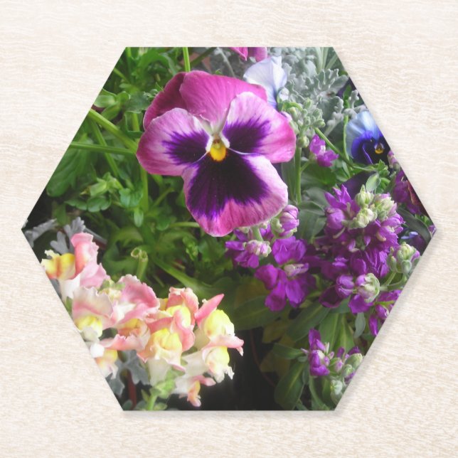 Posavasos De Papel Pansy y amigos (Anverso)