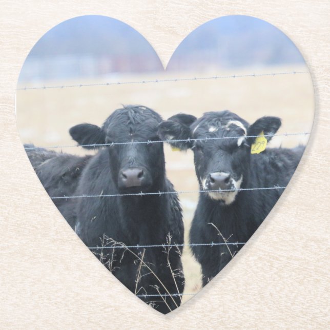 Posavasos De Papel Pasajeros bovinos (Anverso)