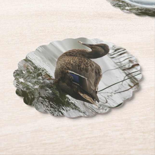 Posavasos De Papel Pato gris en la oscuridad del lago (En perspectiva)