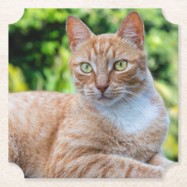 Posavasos De Papel Pequeño gatito dulce