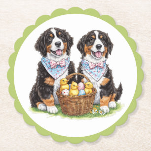 Posavasos De Papel Perros de montaña de la Semana Santa Bernesa