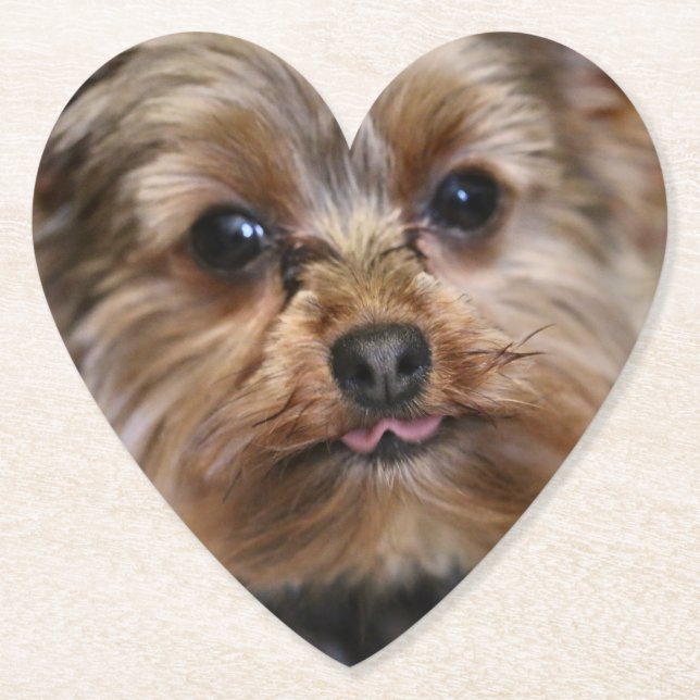 Posavasos De Papel ¡Pfft! (Anverso)