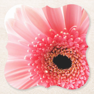 Posavasos De Papel Pink Gerbera Daisy