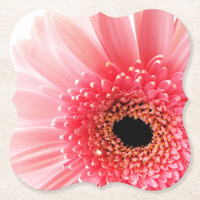 Posavasos De Papel Pink Gerbera Daisy (Anverso)
