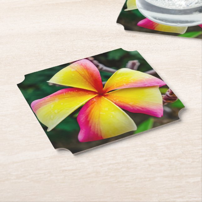 Posavasos De Papel Plumeria rubra (En perspectiva)