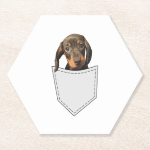 Posavasos De Papel Pocket Dog Dachshund