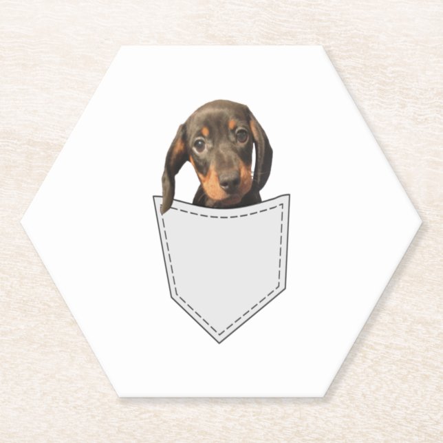 Posavasos De Papel Pocket Dog Dachshund (Anverso)