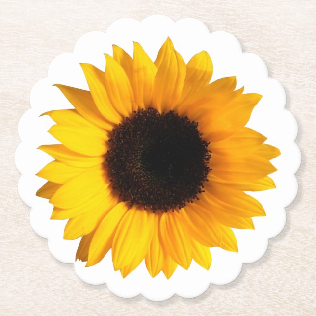 Posavasos De Papel Prácticos de costa de papel del girasol (Anverso)