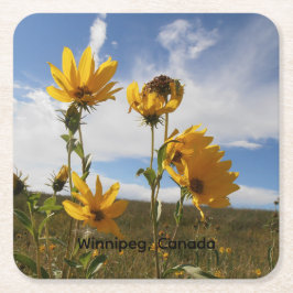 Posavasos de papel Prairie Sunset