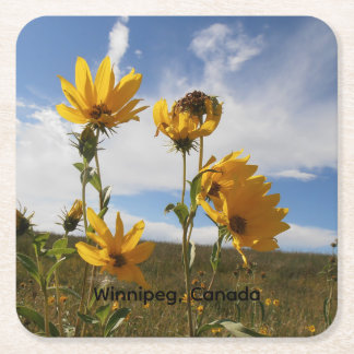Posavasos de papel Prairie Sunset
