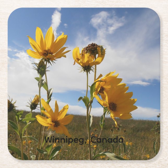 Posavasos de papel Prairie Sunset (Anverso)