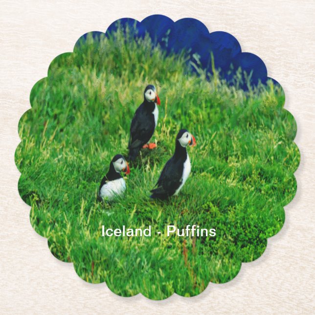 Posavasos De Papel Puffins islandeses (Anverso)