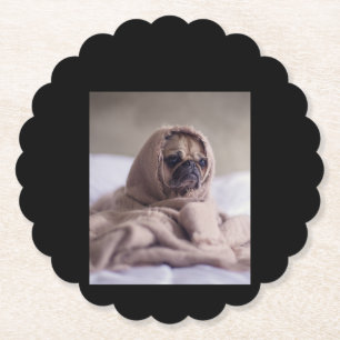 Posavasos De Papel Pug In Blanket Cute Pug Dog Lover Regalo