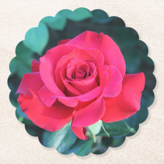 Posavasos De Papel Red Red Rose Paper Coaster