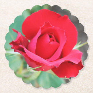Posavasos De Papel Rojo Rojo Rosebud