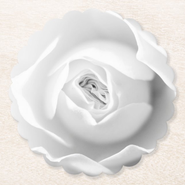 Posavasos De Papel Rosa Blanca | Diseño Floral Elegante (Anverso)