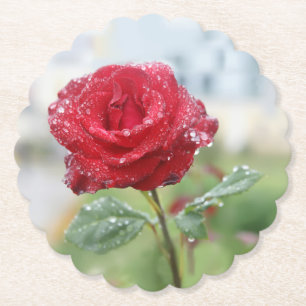 Posavasos De Papel Rosa en gotas de lluvia