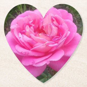 Posavasos De Papel Rosa rosa romántico "Leonardo Da Vinci"