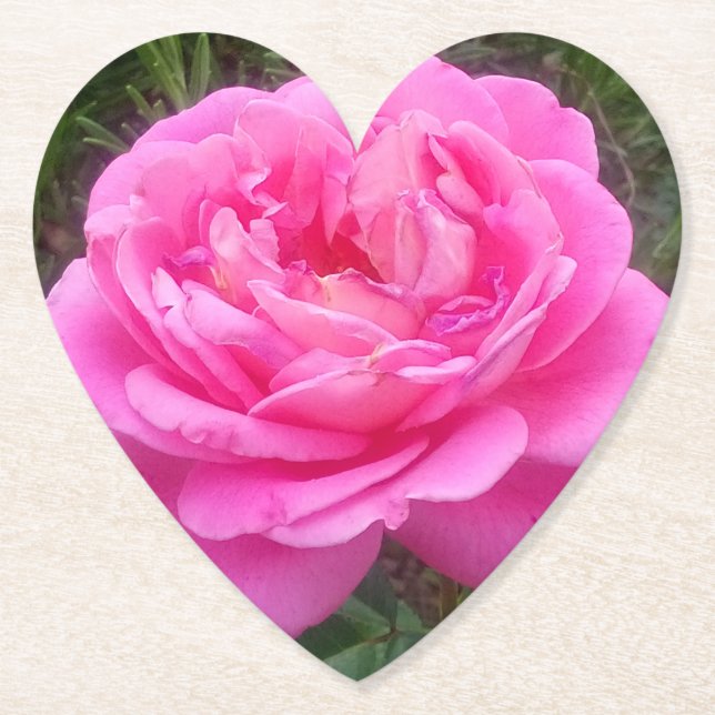 Posavasos De Papel Rosa rosa romántico "Leonardo Da Vinci" (Anverso)