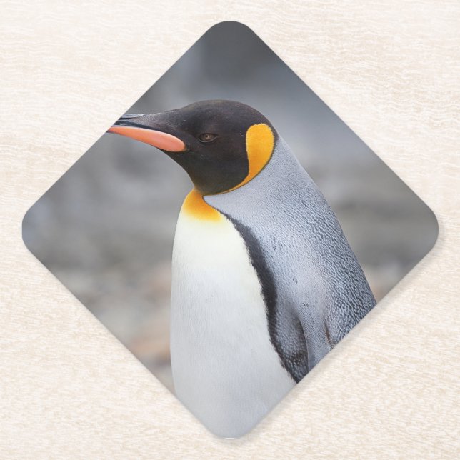 Posavasos de papel rústico de mármol blanco simple (Anverso)