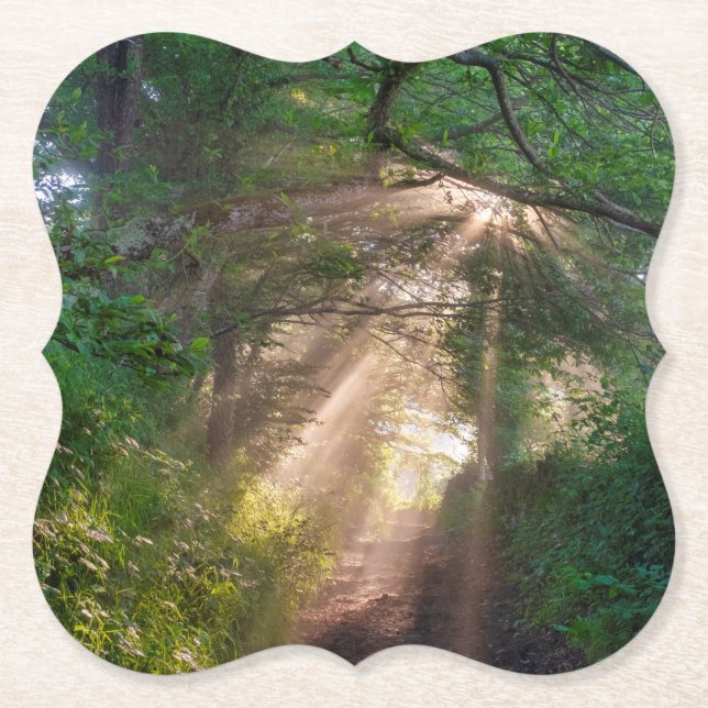 Posavasos De Papel Ruta forestal (Anverso)