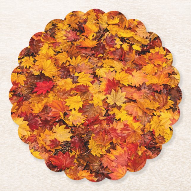 POSAVASOS DE PAPEL SALIDA DE OTOÑO (Anverso)