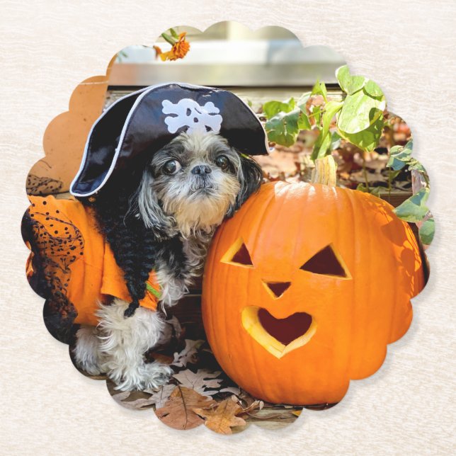 Posavasos De Papel Shih Tzu Pirate Paper Coasters (Anverso)