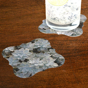 Posavasos De Papel Sucultores de azul silvestre