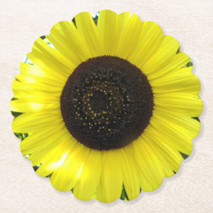Posavasos De Papel Summer Garden Sunflower