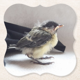 Posavasos De Papel Tidi my Bird the Parus Major