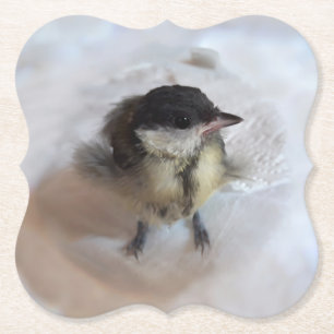 Posavasos De Papel Tidi my Bird the Parus Major