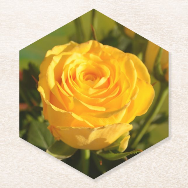 Posavasos De Papel Tómate tiempo para oler la rosa amarilla (Anverso)