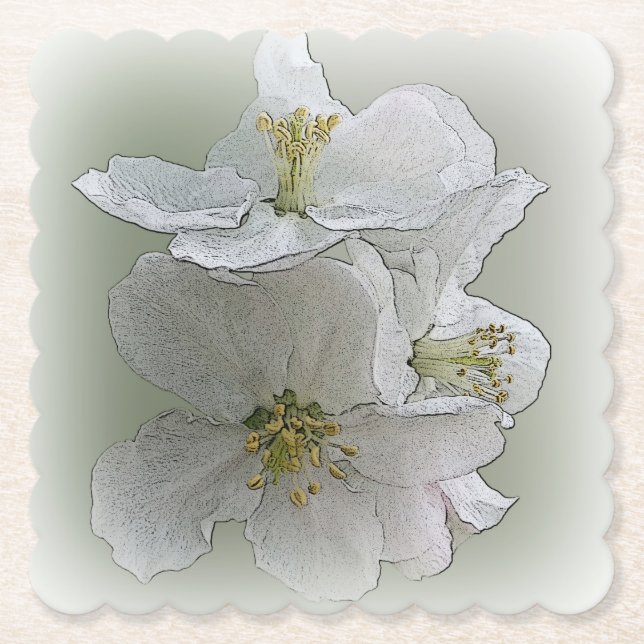 Posavasos De Papel tres flores blancas (Anverso)