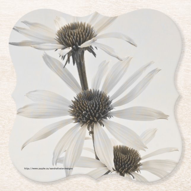 Posavasos De Papel Tres flores de cono blanco (Anverso)