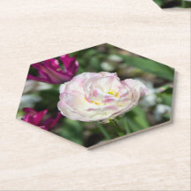 Tulipanes rosa brillante en un día soleado