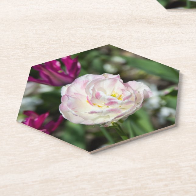 Posavasos De Papel Tulipanes rosa brillante en un día soleado (En perspectiva)