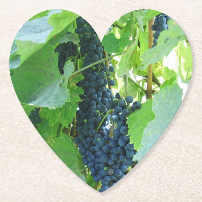 Posavasos De Papel Uvas azules (Anverso)