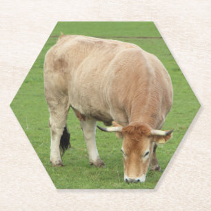 Posavasos De Papel Vaca nantaise
