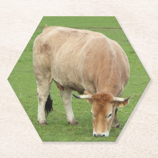 Posavasos De Papel Vaca nantaise (Anverso)