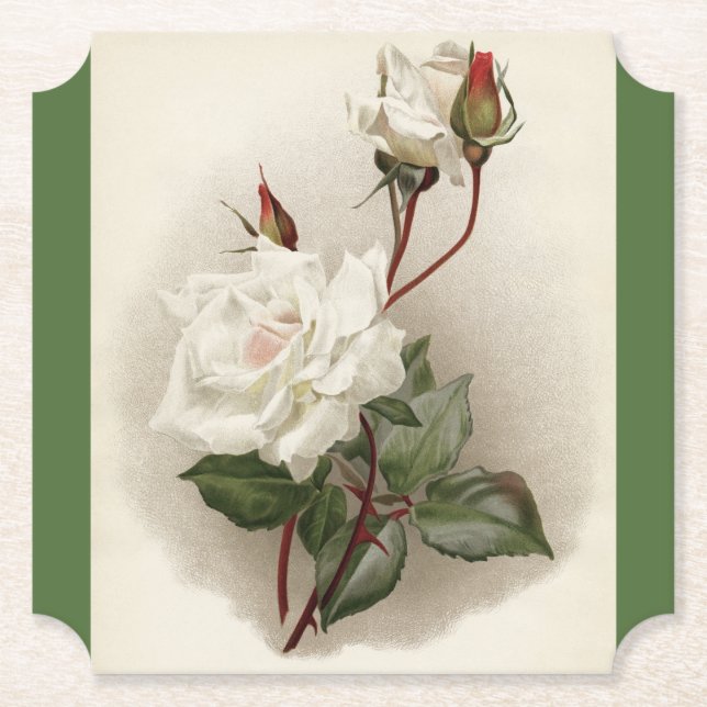 Posavasos De Papel Verde de rosas blancas victorianas (Anverso)