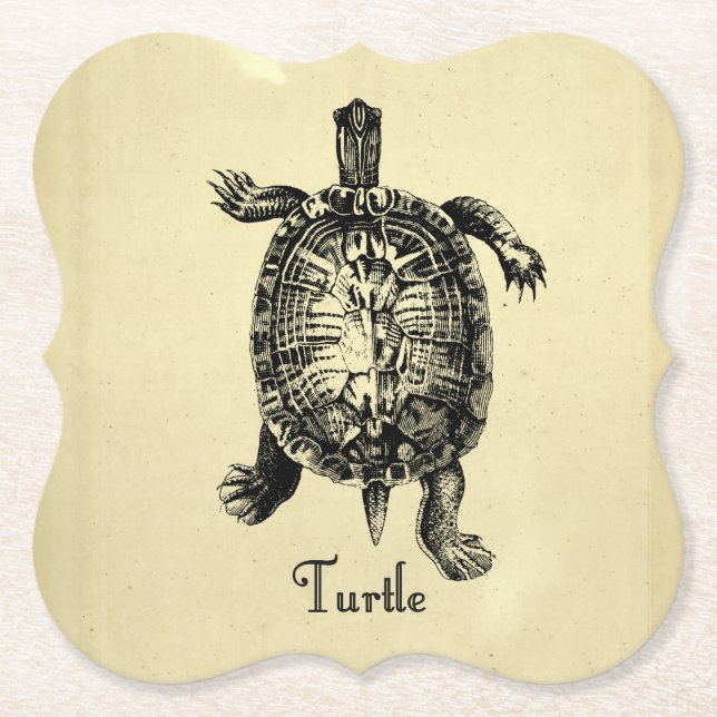 POSAVASOS DE PAPEL VINTAGE TURTLE (Anverso)