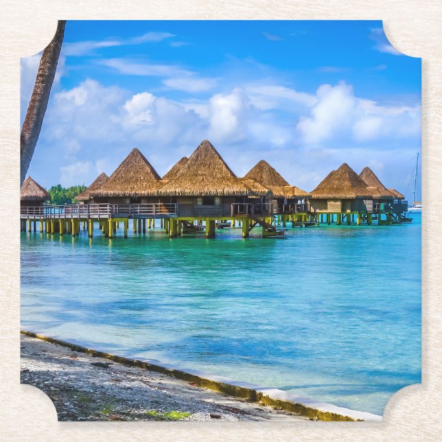 Posavasos De Papel Viviendo en el agua (Anverso)