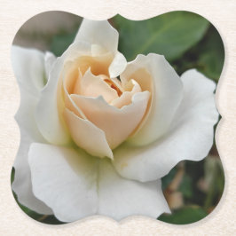 Posavasos De Papel White Rose