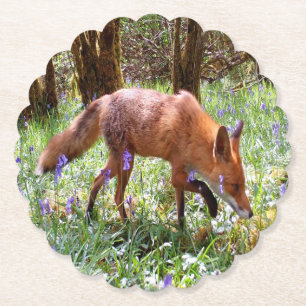 Posavasos De Papel Zorro Rojo Campestre Floración Estacional de Campa