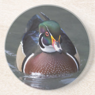 Posavasos de Pato de Madera Americano