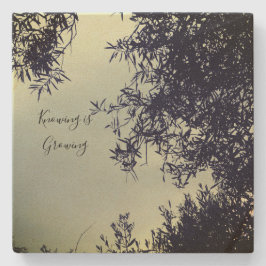 Posavasos De Piedra 2.ª escoria