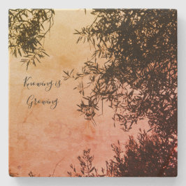 Posavasos De Piedra 2.ª escoria