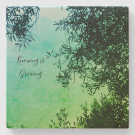 Posavasos De Piedra 2.ª escoria