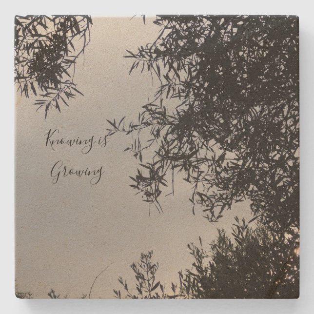 Posavasos De Piedra 2.ª escoria (Anverso)