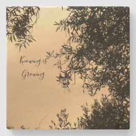 Posavasos De Piedra 2.ª escoria